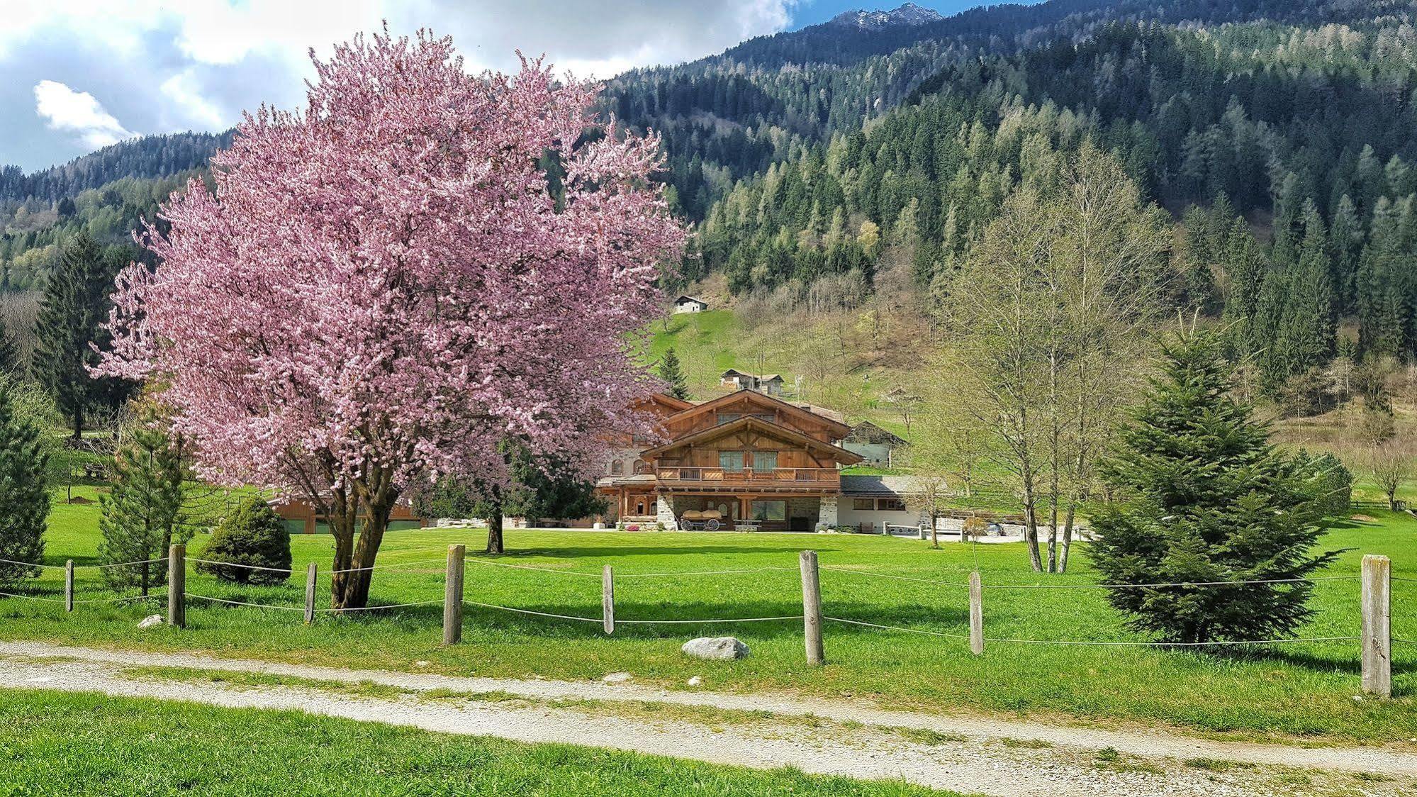Hotel Maso Del Brenta Caderzone Kültér fotó